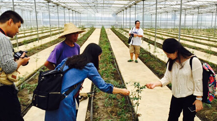 贵州百灵中药材基地--用科技种植带动农业产业