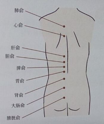  针灸治疗糖尿病取穴