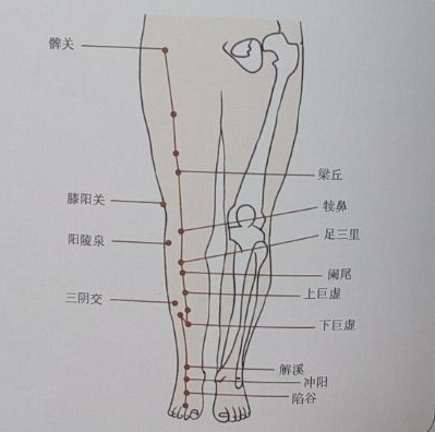 针灸治疗便秘哪个穴位