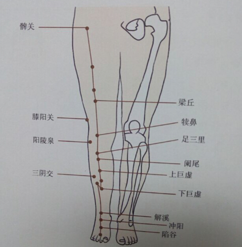 消化不良中医针灸怎么调理