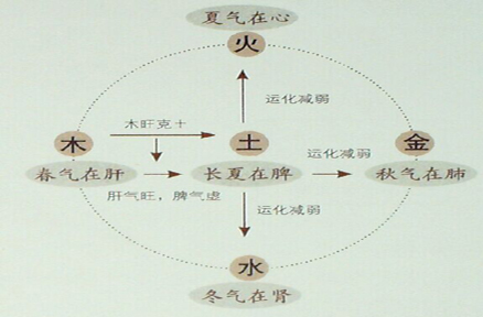 雨水来临,脾胃养护正当时