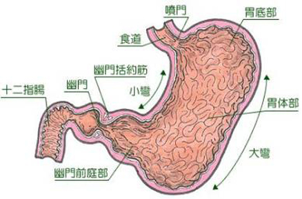 中医学认为,慢性胃炎属于"胃脘痛","痞证"等病证的范畴. 【症状】