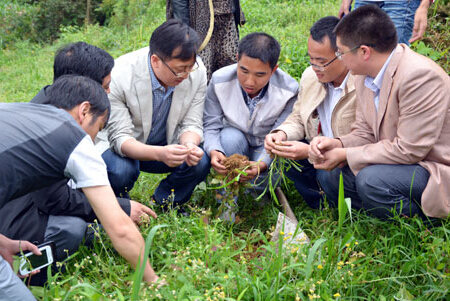 贵州：李廷学视察县中药材种植情况