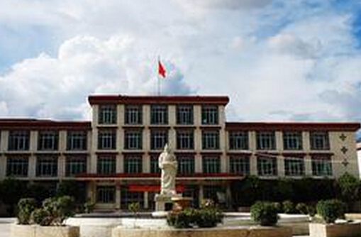 洛桑江村调研西藏藏医学院