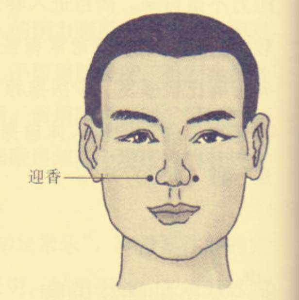 揉搓迎香防流感 春季是流感的高发季节,做好预防工作显得非常重要.