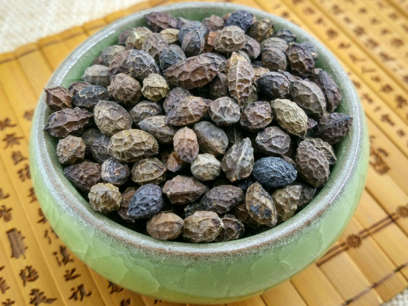 榄仁树子(中药材)