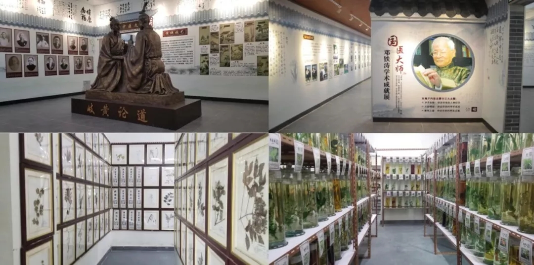 中医药文化博览中心 