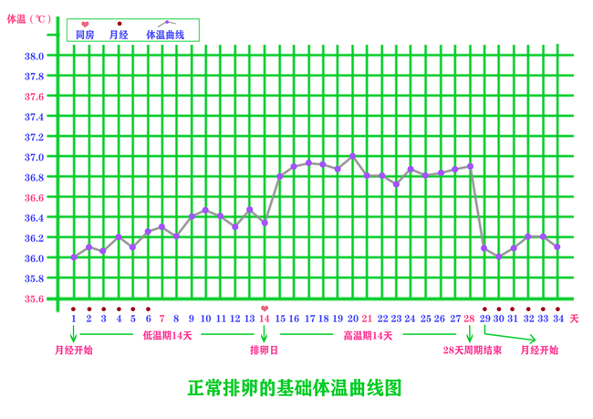 正常排卵的基础体温曲线图