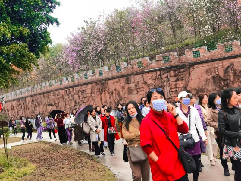 游览中医药历史文化浮雕长廊